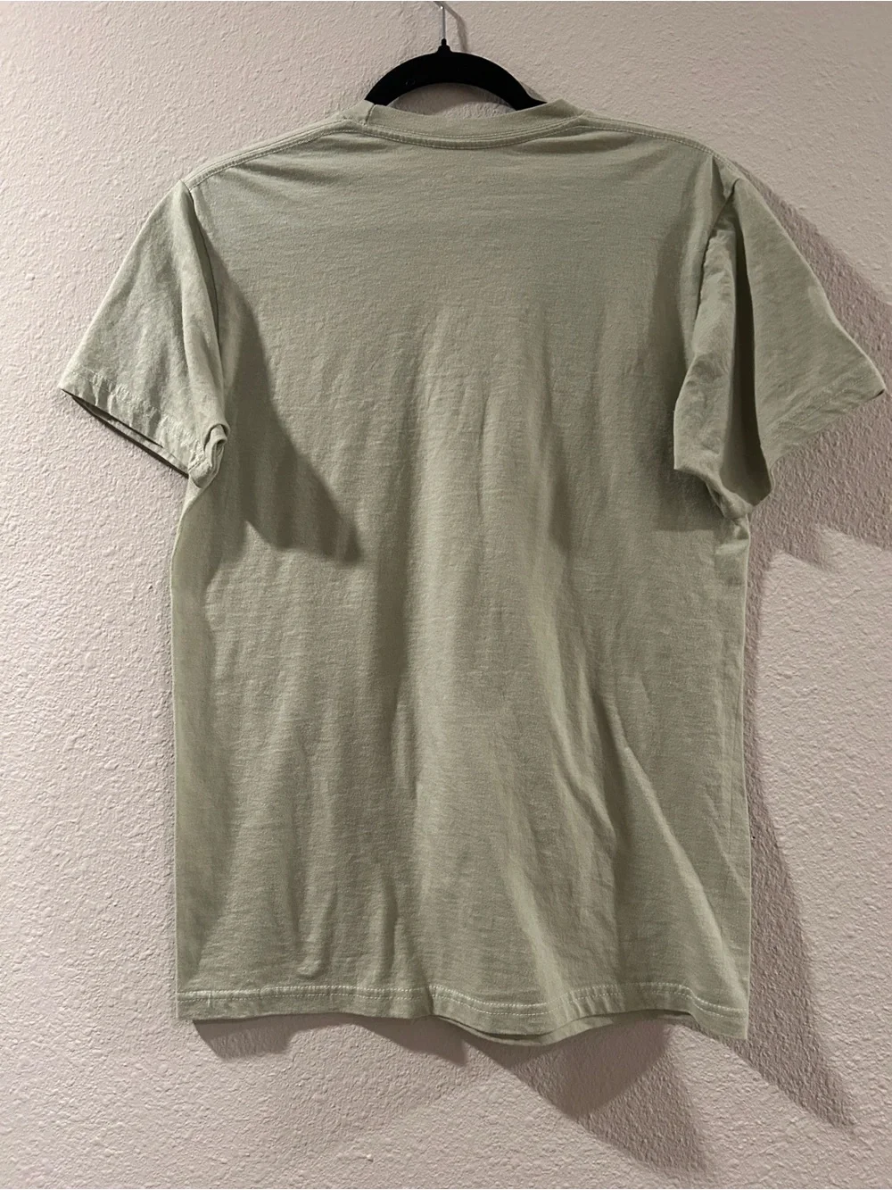 Frog and Toad Graphic Tee - Light Sage Green